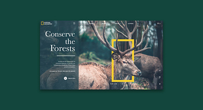 ConserveTheForests animals conservation forest nat geo nature ui ui ux ui ux design uidesign uiux ux web web design website website concept website design wildlife