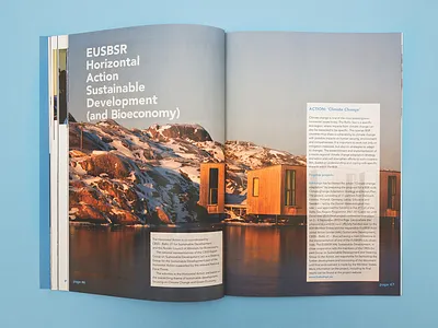 Annual Report annual report design layout layoutdesign print