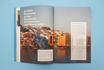 Annual Report annual report design layout layoutdesign print