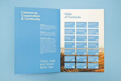 Annual Report annual report branding layout layoutdesign print