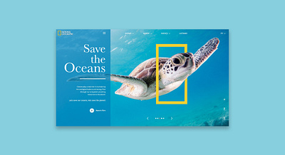 SaveTheOceans conservation nat geo nature oceans turtle ui ui ux ui design uidesign uiux ux web web design website website design wildlife