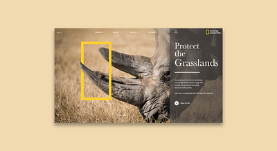 ProtectTheGrasslands conservation nat geo rhino rhinoceros ui ui ux ui design uidesign uiux web web design web ui web ui design webdesign website website design wildlife