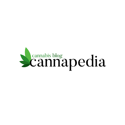 Cannapedia - კანაფის ბლოგი branding design illustration logo typography
