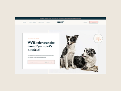 Pezo Exploration 70s animals art director branding cat desktop dog figma logo design mobile pet pet wellness pezo progressive web app responsive retro stickers ui ux