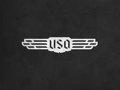 USAviator apparel aviation badge flight flying geometrical logo design sharp united states of america wings