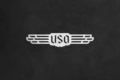 USAviator apparel aviation badge flight flying geometrical logo design sharp united states of america wings