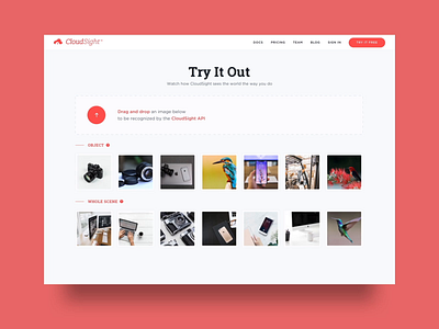 Image recognition technology animation api app cloud colors coral design homepage image interface landing page minimal recognition simple ui uidesign uiux ux web website