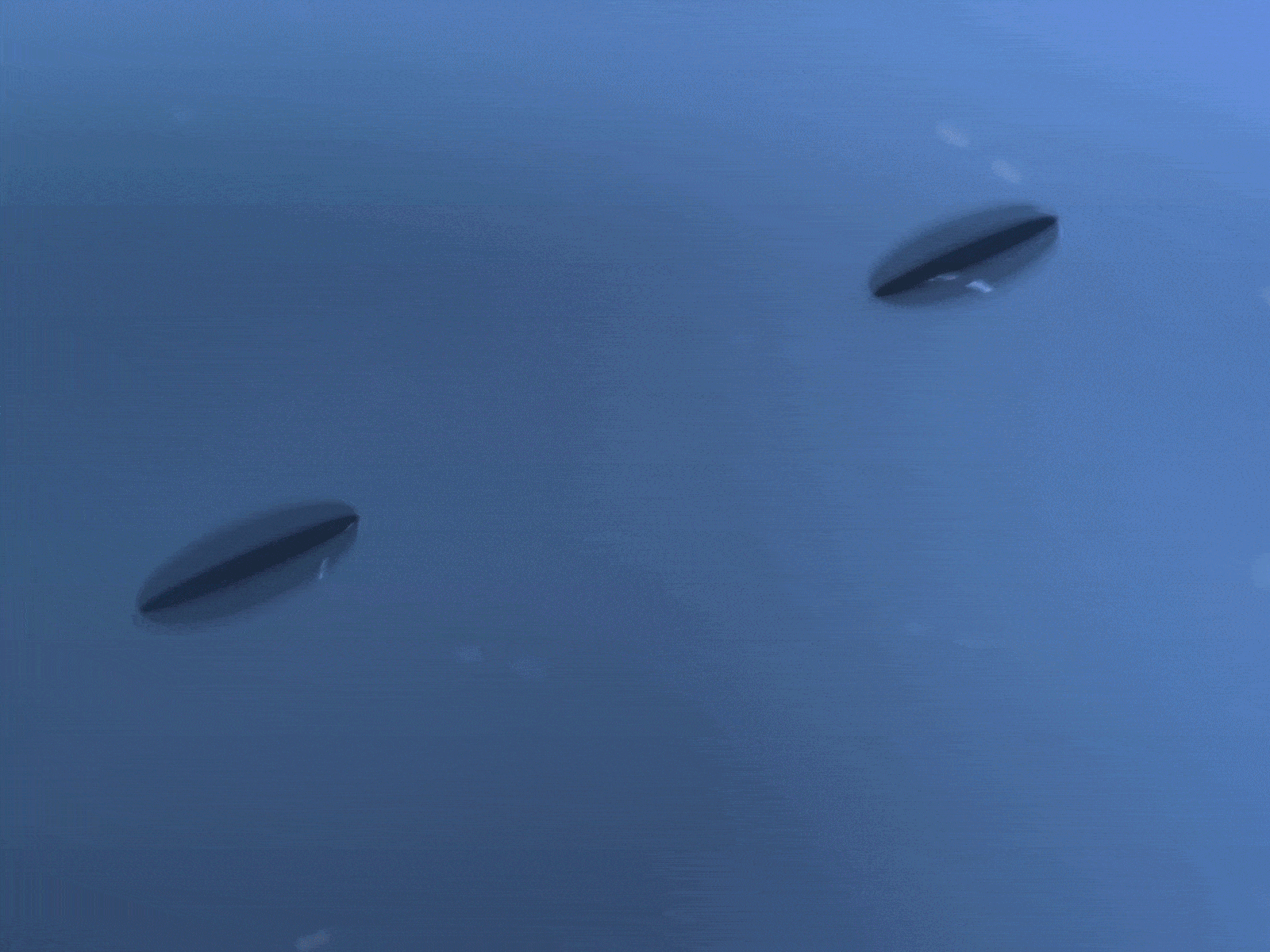 Open up to new horizons - Greetings 2020 - Kamoo Studio 2020 3d 3d animation 3d art 3d artist animation character character animation character design characterdesign cute greeting greeting card greetingcard greetings greetings card greetingscard kamoo kamoostudio video