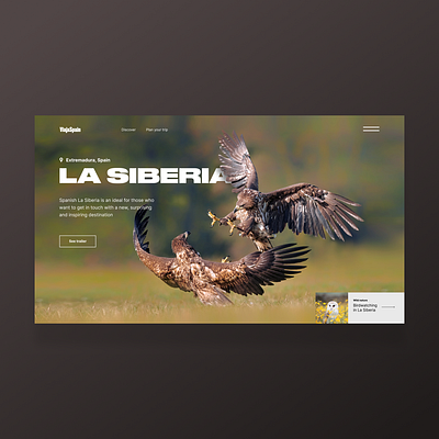 Spanish Siberia One page animals dailyui design landingpage typography ui web webdesign