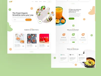 Dribbble Shot HD 1 1