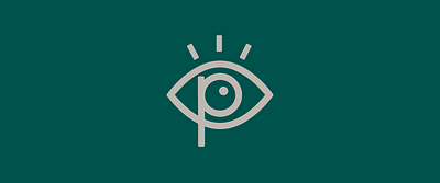 Pennridge Family Eye Care brand guidelines branding icon illustration visual identity