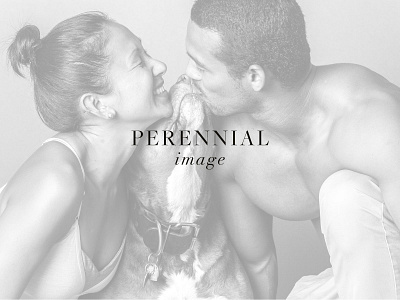 Perennial Logo Design branding design icon logo photographer portrait photographer serif typography watermark wedding photographer