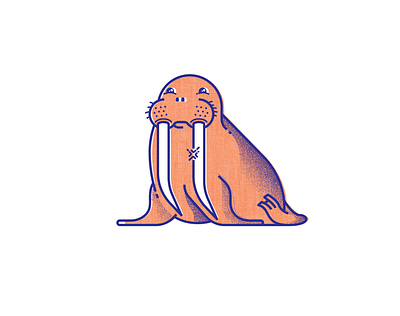 It's Tooth Time - III animals design illustration teeth walrus