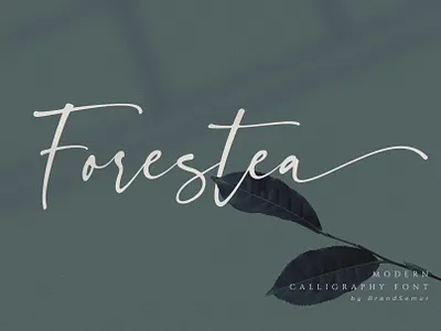 Forestea - Classy Script Font beauty calligraphy chic classy elegant fashion feminine font handlettering handwritting logo luxury magazine modern script signature social media sophisticated stylish wedding