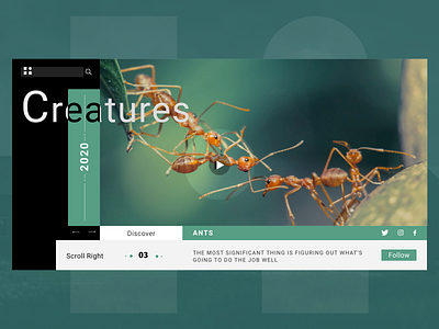 Discover Ants ants creatures design discover inspiration landing page minimal talavadze ui ux video videoplayer web website