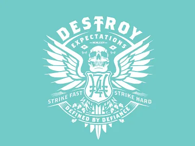 Destroy Expectations hoodie skull vector vector illustration wings