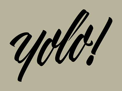 yolo! art brush calligraphy calligraphy design flourish hand lettering lettering sketch type typography vector