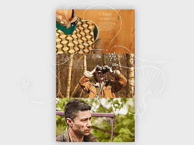 Waxwing Concept A design website design