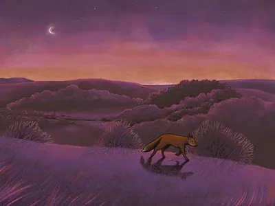 Fox on the hill animal book illustration digital art editorial illustration fox procreate