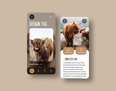 Brown Yak Mobile Design adobexd animal mobile mobile app mobile ui nature outdoor travel ui wiki