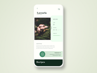 Forage App Concept 2 color brown green minimal mobile mobile app design mobile ui