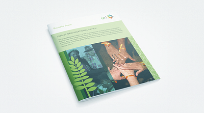 URI Annual Report annual report branding brochure design illustration non profit print design