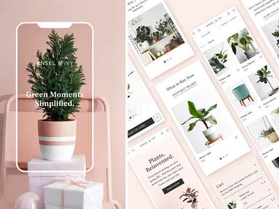 Ansel & Ivy branding design design system styleguide ui ui ux uidesign website website concept website design