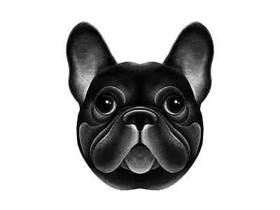 French Bulldog animal apple pencil dog face french bulldog illustration ipad pet pet portrait pets portraits procreate puppy