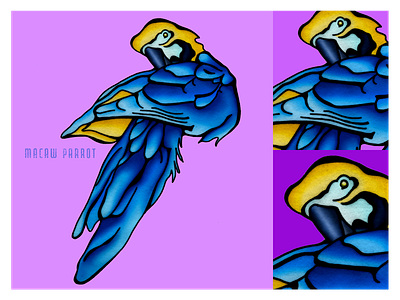 Blue Macaw Parrot amazon bird birds bright colors digital color hand drawn illustration macaw parrot rainforest tropical tropical design