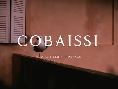 Cobaissi Free Font download download free font font free serif typography