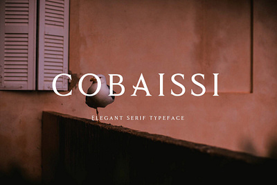 Cobaissi Free Font download download free font font free serif typography