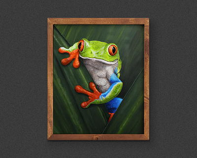 Red-Eyed Tree Frog / Acrylic Painting acrylic art costarica frog nature painting red eyed