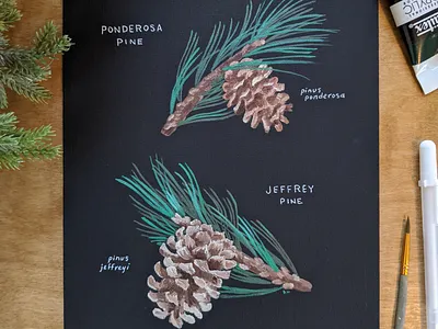 Pine cone painting acrylic art canvas nature nature illustration painting trees