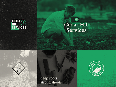 Cedar Hill Services badge logo brand brand design brand identity branding cedar design exploration green hill logo tree vintage vintage badge vintage design vintage logo