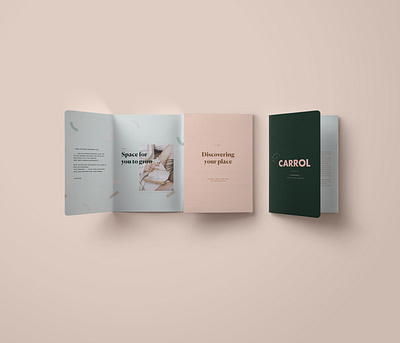 Carrol Brochure artdesign book arts branding brochure design design logo stationery typography