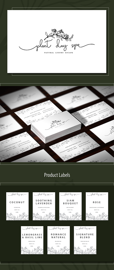 Branding for Plant Day Spa bangkok branding cosmetic labels luxury massage therapy natural plants spa therapy