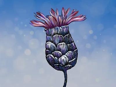 Flower I adobe photoshop art beautiful colorful design drawing fantasy floral flower illustration nature painting