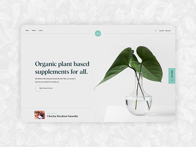 Organic Supplements Hero Section hero landing page website