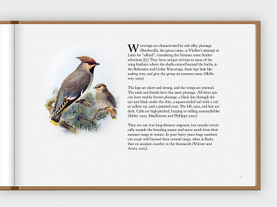 Inside Page of a Concept B design illustration typography web website design