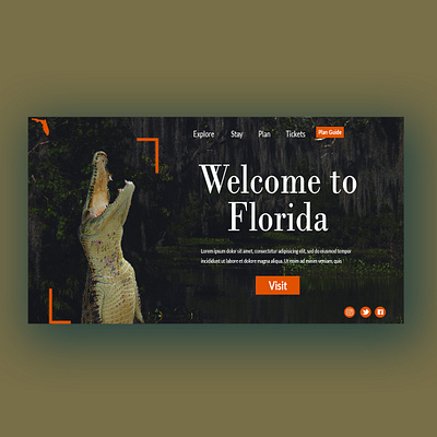 Alligator design graphicdesign ux uxdesign web webdesign