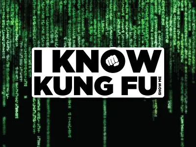 I Know Kung Fu design illustration kung fu matrix typography vector