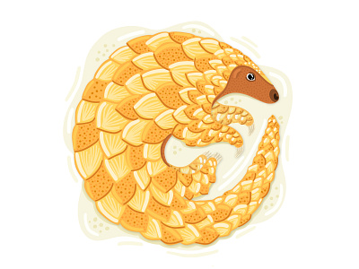 Indian Pangolin animal character cute design endangered illustration indian ipad pro pangolin species vector