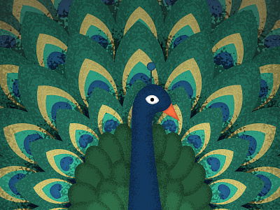 Illustration - Peafowl art design illustraion illustration art illustrations illustrator vector art vector design vector illustration vectorart vectors
