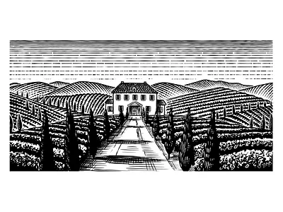 Vineyard landscape illustration for wine label. engraved engraving fields hand drawn illustration ipad italian lanscape line art procreate scratchboard tuscany villa vinery vineyard vintage vintage illustration wine wine label