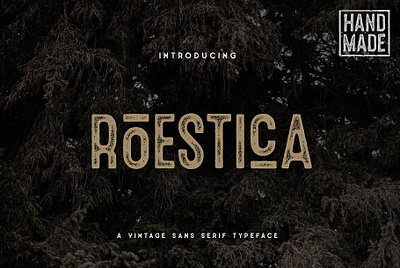 Roestica Vintage Sans Typeface best fonts branding cool font design display font download font font font design fonts graphic design grunge font grunge texture lettering logo font sans serif textured font typeface typefaces vintage font vintage lettering