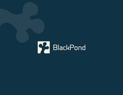 Black Pond logo blue brand brand identity branding design logo logo design logodesign