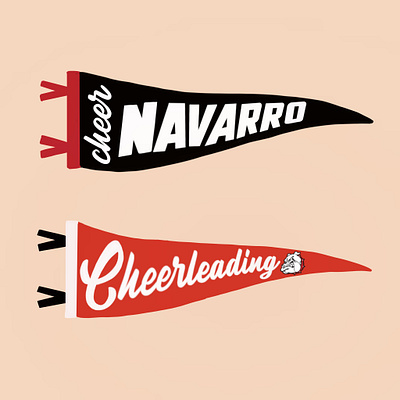 Nararro Cheer branding cheer cheerleading design fun fun project go sports navarro cheer navarro cheerleading rebound sports sports branding weekly warm up