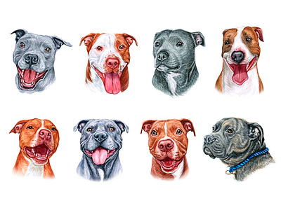 Pitt Bull dogs animal dog dog illustration draw drawing illustration pet pets puppy watercolor