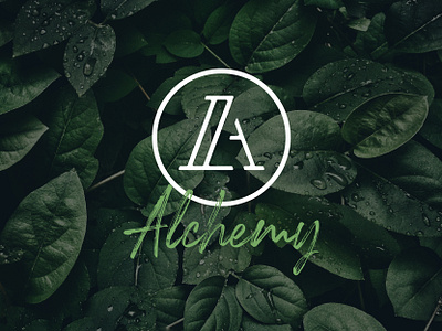 🧿A is for Alchemy 2019 2020 branding design green illustration jacksonville logo typography vector