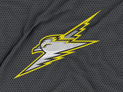 𝕤𝕥𝕠𝕣𝕞𝕪 ⚡️𝕡𝕖𝕥𝕣𝕖𝕝𝕤 athletic athletic branding athletic logo basketball bird bird icon bird logo branding college sports college team football lightning lightning bolt logo sports sports branding sports logo sportswear storm vector